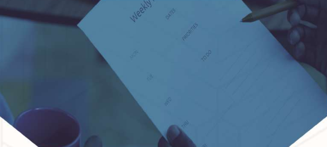 STLI 2025 REPORT Cover